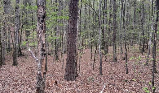 Photo #9 of 2390 Baron Dekalb, Camden, SC