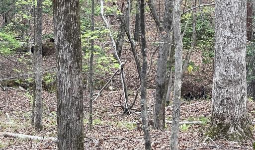 Photo #2 of 2390 Baron Dekalb, Camden, SC