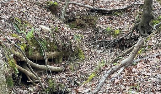 Photo #3 of 2390 Baron Dekalb, Camden, SC