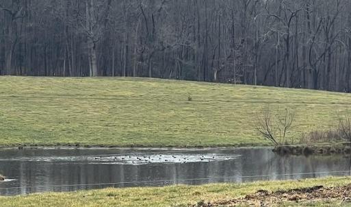 Photo #11 of 5690 Rocky Mount Church, Polkton, NC