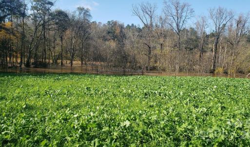 Photo #19 of 5690 Rocky Mount Church, Polkton, NC