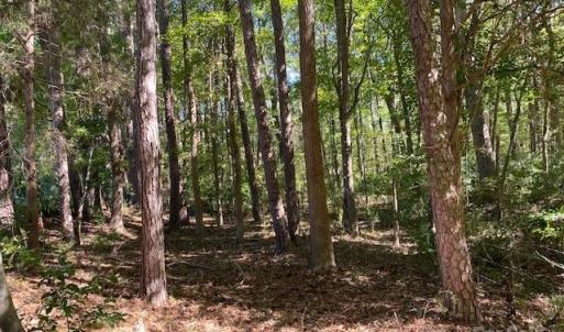 Photo #4 of 6045 C Campbell, York, SC