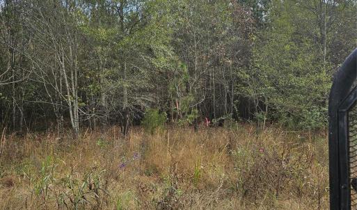 Photo #15 of Ingold School, Albemarle, NC