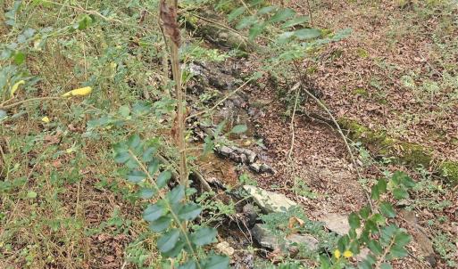 Photo #19 of Ingold School, Albemarle, NC