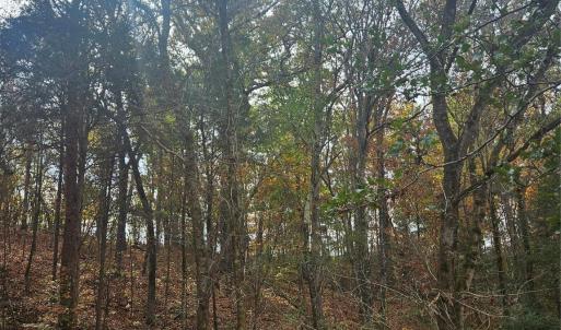 Photo #23 of Ingold School, Albemarle, NC