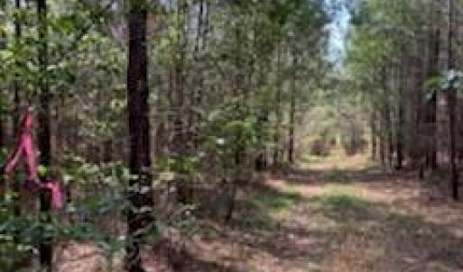 Photo #8 of Ingold School, Albemarle, NC