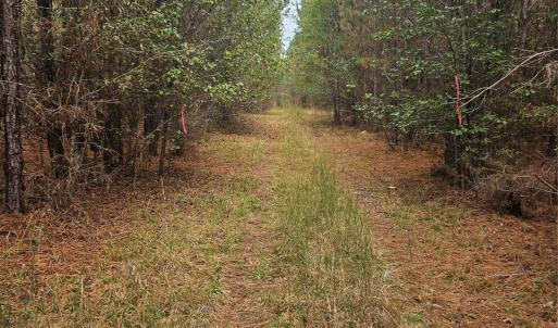 Photo #5 of Ingold School, Albemarle, NC