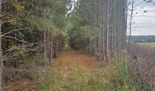 Photo #15 of Ingold School, Albemarle, NC