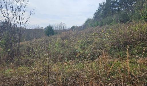 Photo #18 of Ingold School, Albemarle, NC