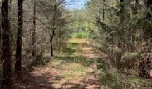 Photo #10 of Ingold School, Albemarle, NC