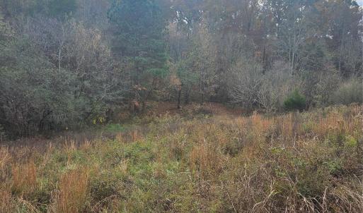 Photo #10 of Ingold School, Albemarle, NC