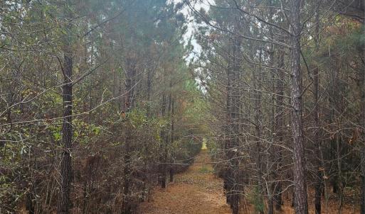 Photo #4 of Ingold School, Albemarle, NC