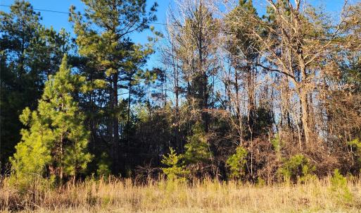 Photo #34 of 1342 Mcknight, Smyrna, SC