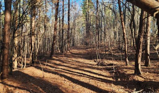 Photo #22 of 1342 Mcknight, Smyrna, SC