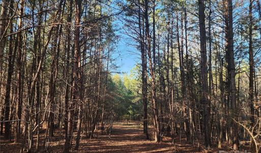Photo #21 of 1342 Mcknight, Smyrna, SC