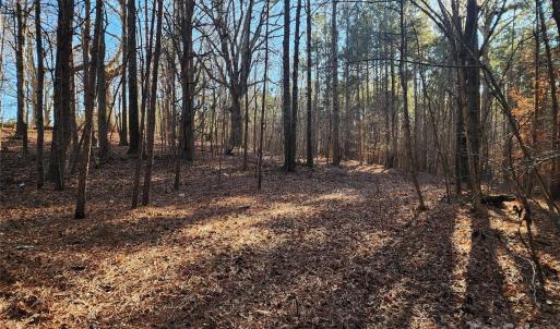 Photo #23 of 1342 Mcknight, Smyrna, SC