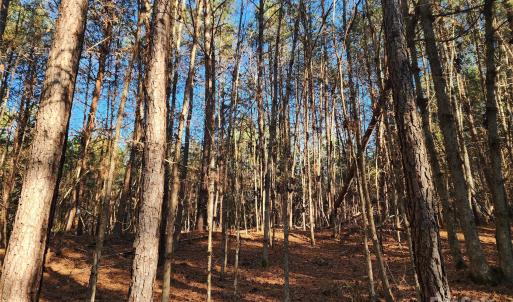 Photo #19 of 1342 Mcknight, Smyrna, SC