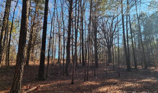 Photo #30 of 1342 Mcknight, Smyrna, SC