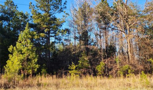 Photo #33 of 1342 Mcknight, Smyrna, SC