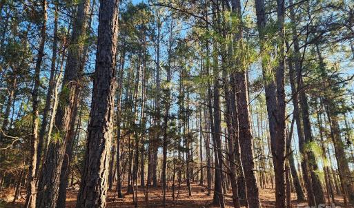 Photo #23 of 1342 Mcknight, Smyrna, SC