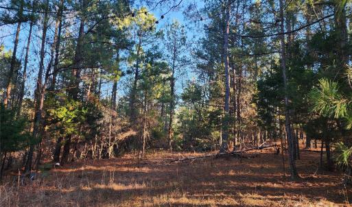 Photo #24 of 1342 Mcknight, Smyrna, SC