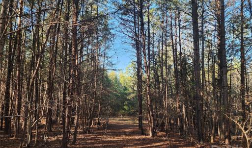 Photo #20 of 1342 Mcknight, Smyrna, SC