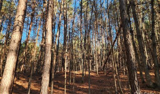 Photo #18 of 1342 Mcknight, Smyrna, SC