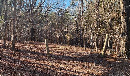 Photo #31 of 1342 Mcknight, Smyrna, SC