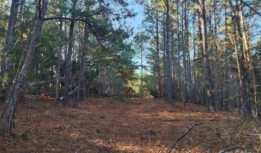 Photo #26 of 1342 Mcknight, Smyrna, SC