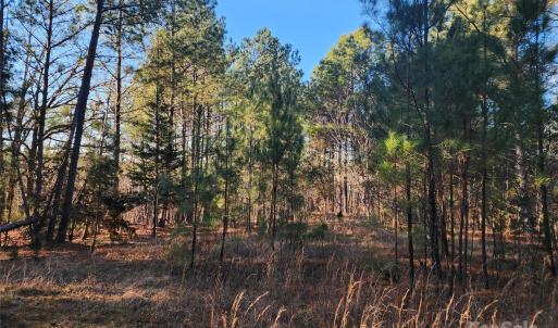 Photo #25 of 1342 Mcknight, Smyrna, SC