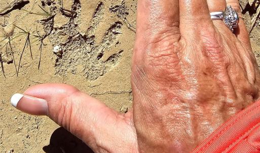 Photo #16 of 10130 Reed Mine, Midland, NC