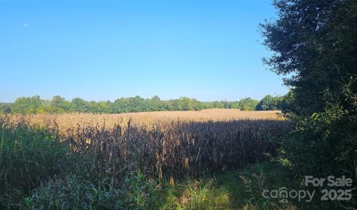 Photo #22 of 10130 Reed Mine, Midland, NC
