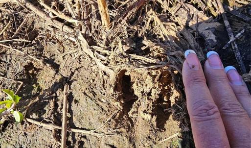 Photo #21 of 10130 Reed Mine, Midland, NC