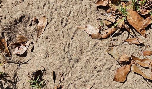 Photo #18 of 10130 Reed Mine, Midland, NC