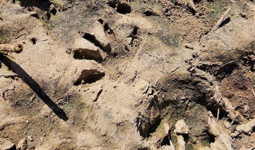 Photo #19 of 10130 Reed Mine, Midland, NC