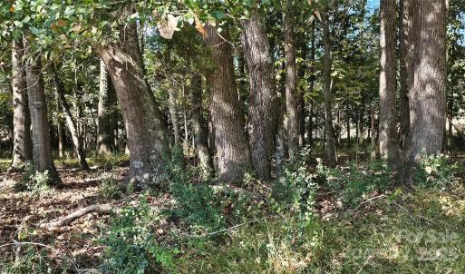 Photo #7 of 10130 Reed Mine, Midland, NC