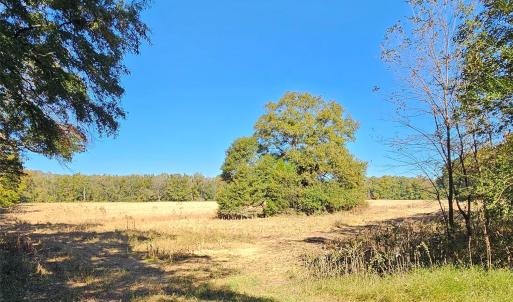 Photo #13 of 10130 Reed Mine, Midland, NC