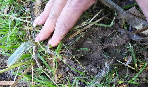 Photo #16 of 10130 Reed Mine, Midland, NC