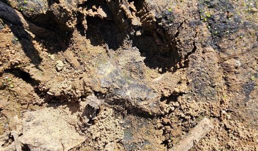 Photo #20 of 10130 Reed Mine, Midland, NC