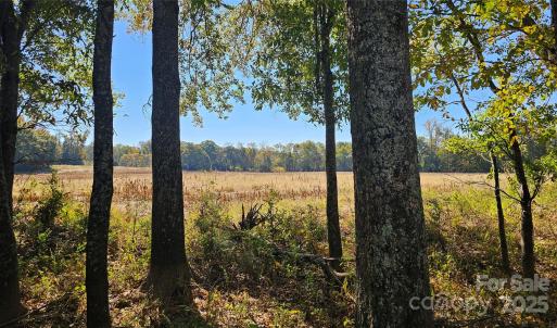 Photo #3 of 10130 Reed Mine, Midland, NC