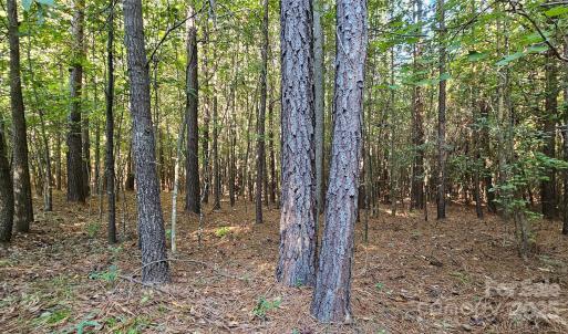 Photo #22 of 10130 Reed Mine, Midland, NC