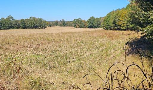 Photo #8 of 10130 Reed Mine, Midland, NC