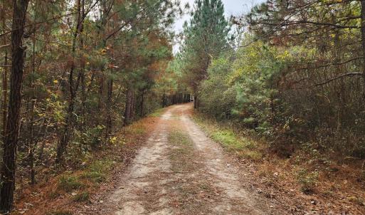 Photo #36 of 2351 Reges Store, Nashville, NC