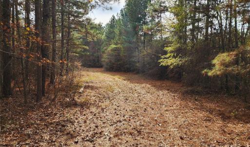 Photo #24 of 2351 Reges Store, Nashville, NC