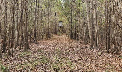 Photo #23 of 2351 Reges Store, Nashville, NC