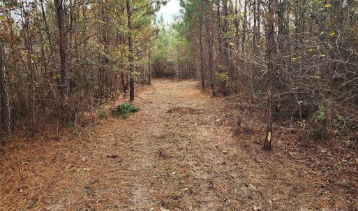 Photo #26 of 2351 Reges Store, Nashville, NC