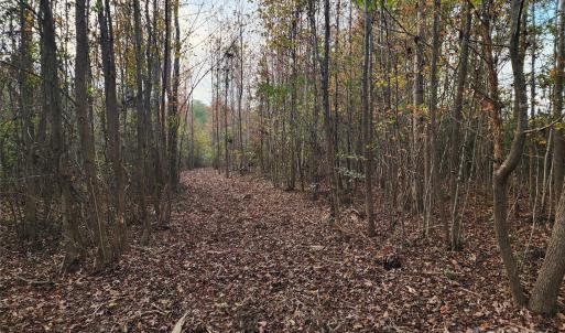 Photo #29 of 2351 Reges Store, Nashville, NC