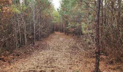 Photo #17 of 2351 Reges Store, Nashville, NC