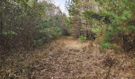 Photo #21 of 2351 Reges Store, Nashville, NC