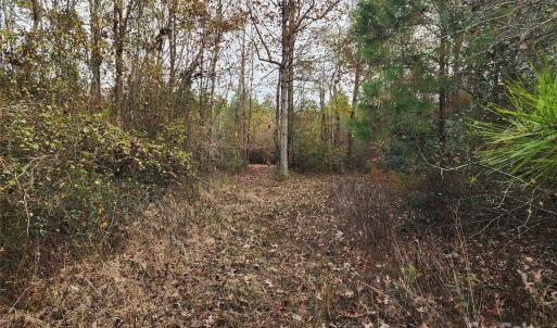 Photo #20 of 2351 Reges Store, Nashville, NC